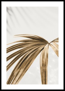 Golden Palm Leaves-0