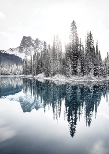 Reflections In Emerald Lake-3