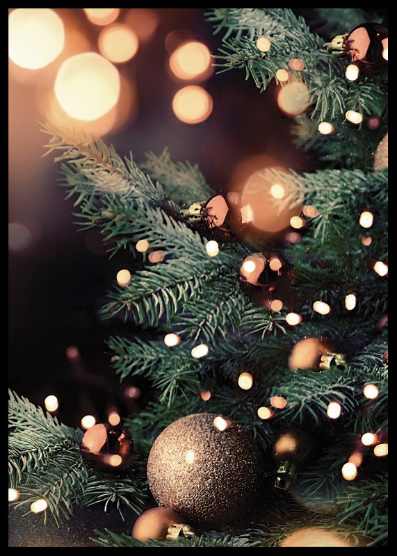 Christmas Tree And Lights-2