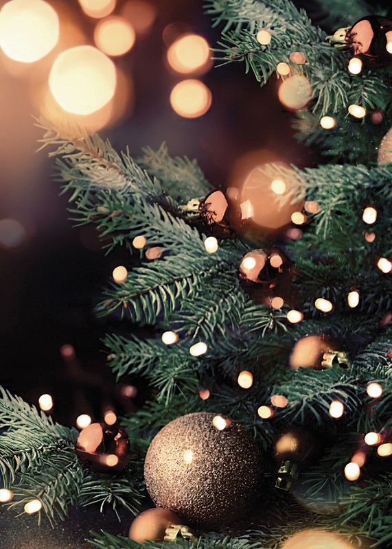 Christmas Tree And Lights-3