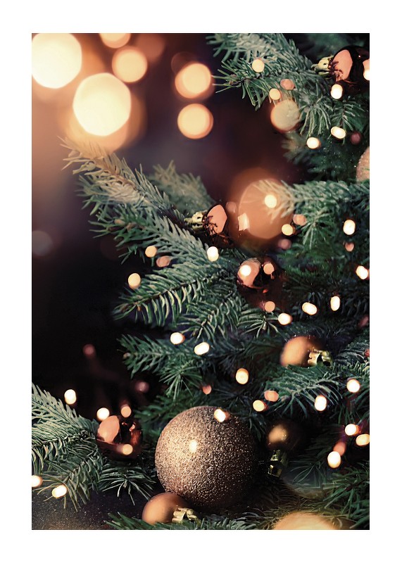 Christmas Tree And Lights-1