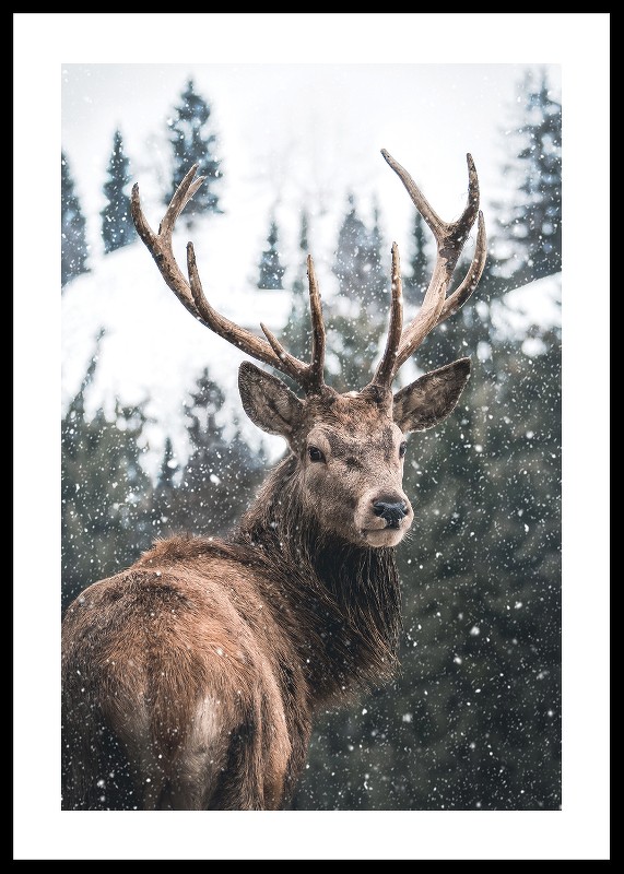 Winter Landscape Deer-0