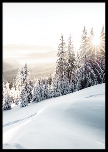 Winter Mountain Morning-2