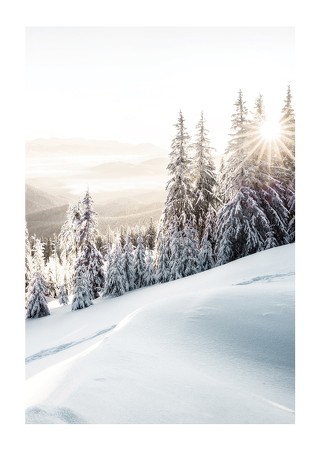 Poster Winter Mountain Morning