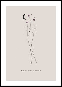 Moonlight Activity No3-0