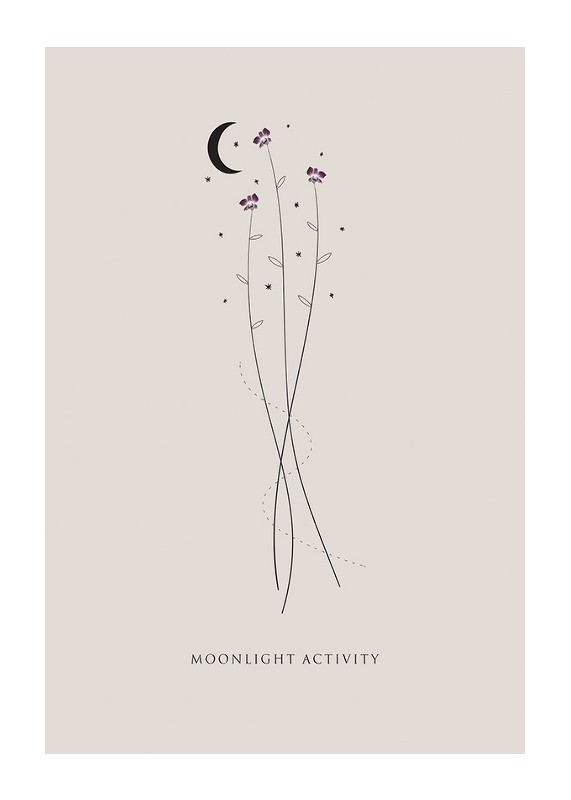 Moonlight Activity No3-1