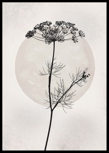 Dried Flower Silhouette-2