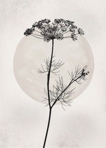 Dried Flower Silhouette-3