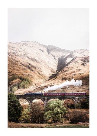 Poster Steam Train