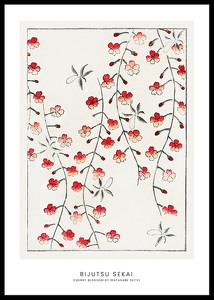 Cherry Blossom By Watanabe Seitei-0