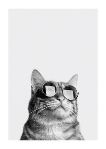 Cat With Shades-1