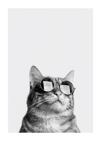 Poster Cat With Shades