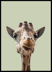 Smiling Giraffe-2