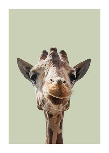 Smiling Giraffe-1