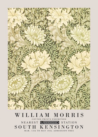 Poster William Morris Chrysanthemum
