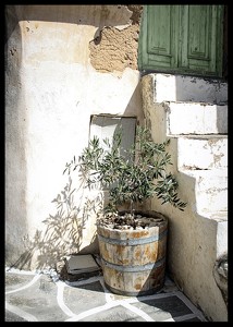 Olive Tree Entrance-2