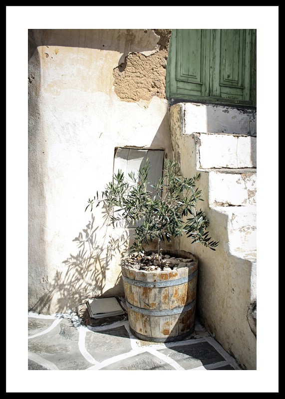 Olive Tree Entrance-0