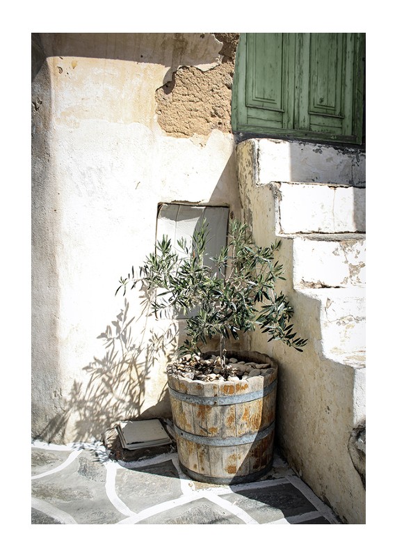 Olive Tree Entrance-1