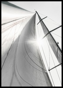 Sail In Sunlight-2