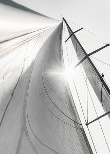 Sail In Sunlight-3
