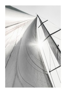 Sail In Sunlight-1