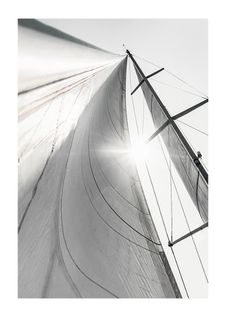 Poster Sail In Sunlight