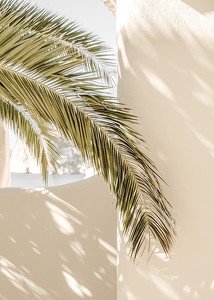 Mediterranean Palm Leaves-3