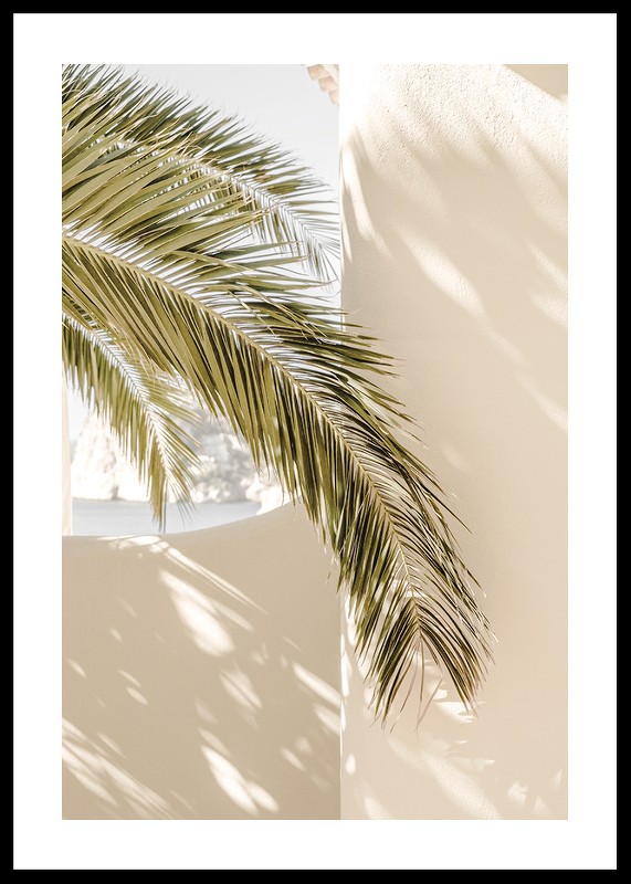 Mediterranean Palm Leaves-0
