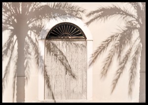 Palm Tree Shadows-2