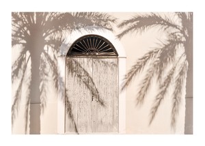 Palm Tree Shadows-1
