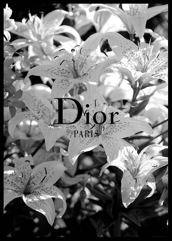 Dior Paris-2
