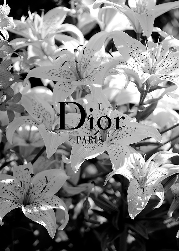 Dior Paris-3