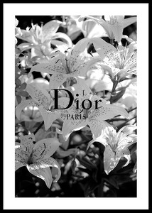Dior Paris-0