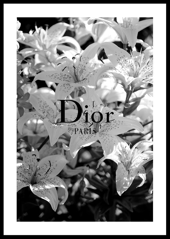 Dior Paris-0