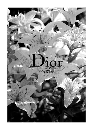 Poster Dior Paris