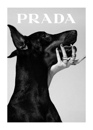 Poster Prada Fashion