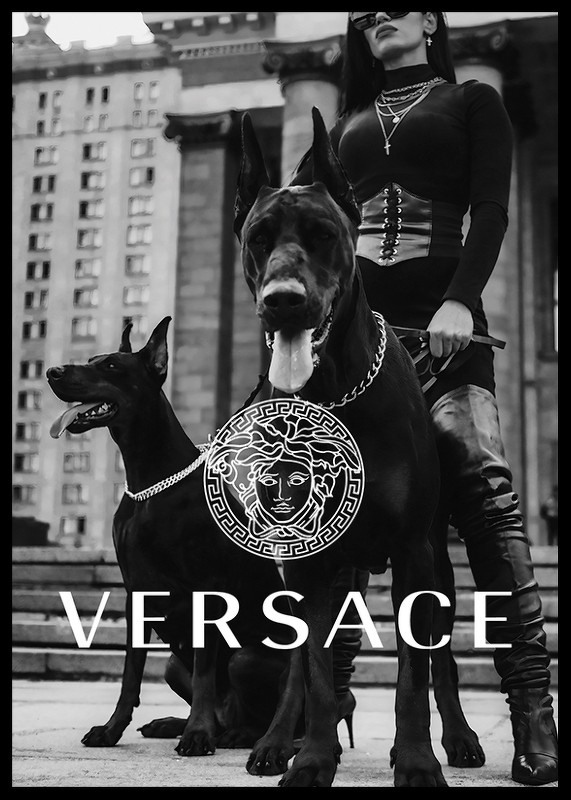 Versace Fashion-2