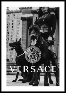 Versace Fashion-0