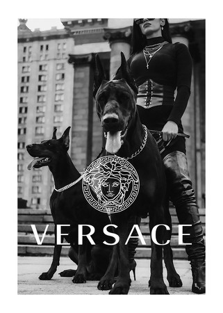 Poster Versace Fashion