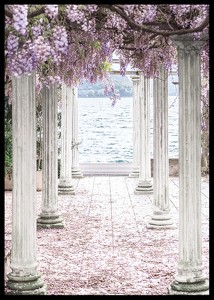Pillars With Wisteria Flower-Roof-2