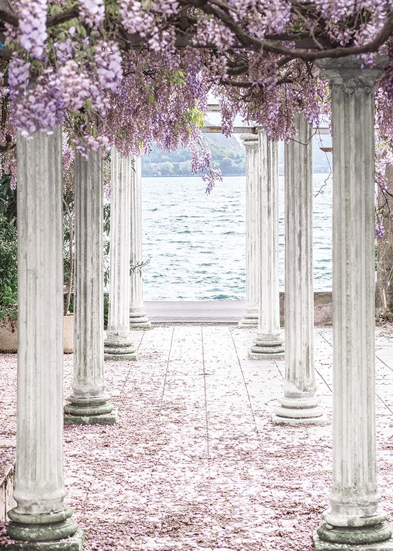 Pillars With Wisteria Flower-Roof-3