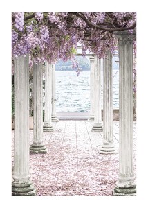 Poster Pillars With Wisteria Flower-Roof