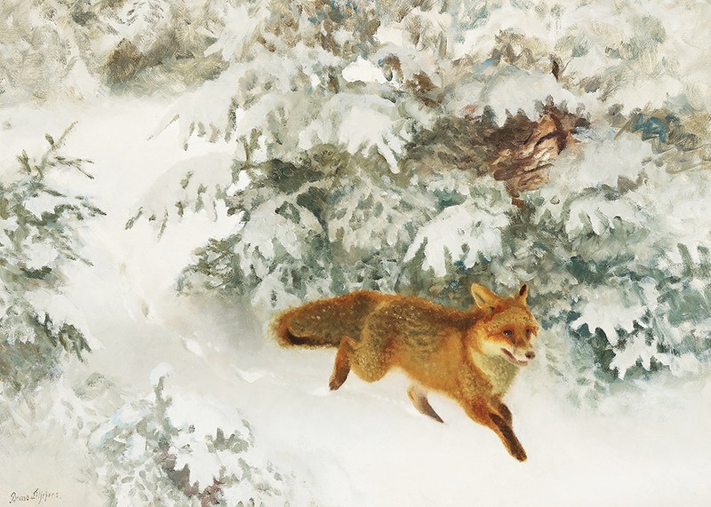Fox in Winter Landscape By Bruno Liljefors No1-3
