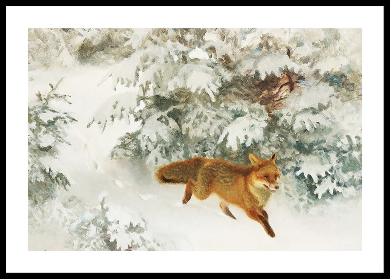 Fox in Winter Landscape By Bruno Liljefors No1-0