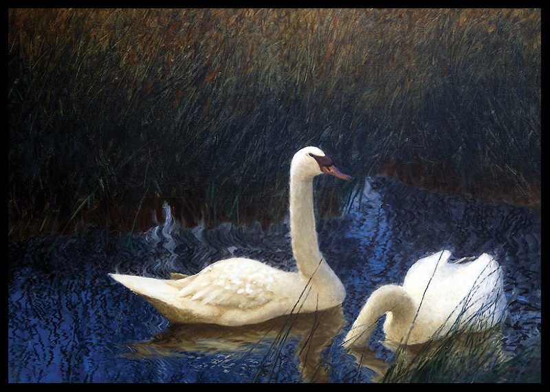 Swans in Reeds By Bruno Liljefors-2