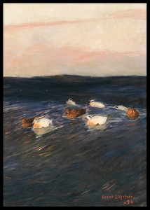Eider Ducks By Bruno Liljefors-2