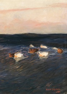 Eider Ducks By Bruno Liljefors-3