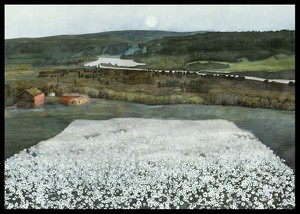 Flower Meadow in the North By Harald Sohlberg-2