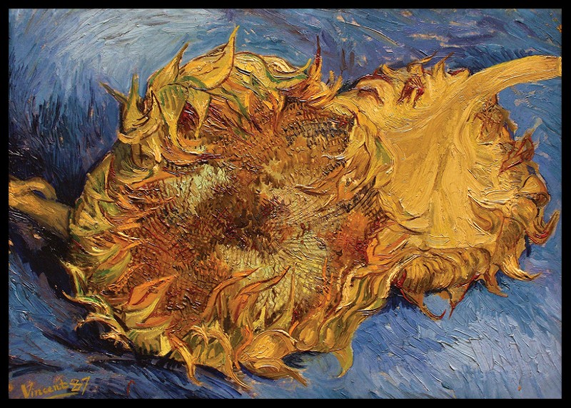 Sunflowers By Vincent van Gogh-2