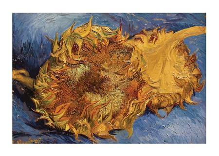 Poster Sunflowers By Vincent van Gogh